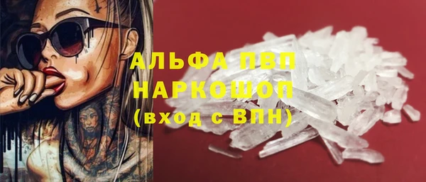 PSILOCYBIN Валдай