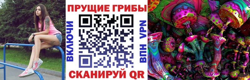 Псилоцибиновые грибы прущие грибы Купить закладки Глазов